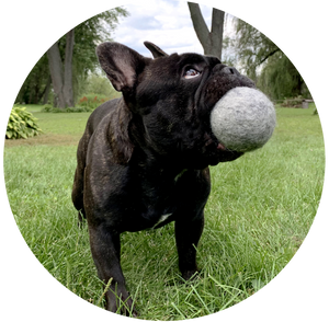 100% New Zealand Wool Ball Dog Toy